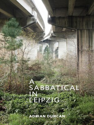 cover image of A Sabbatical in Leipzig
